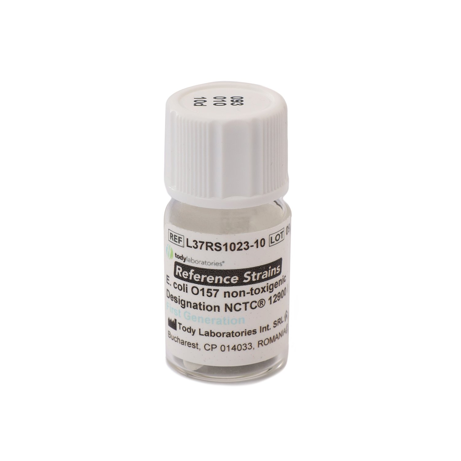 Escherichia coli O157 non-toxigenic ATCC® 700728 / NCTC® 12900